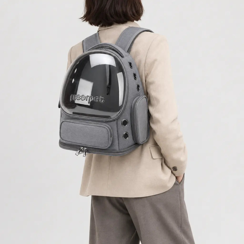 Sac de transport chat transparent - gris