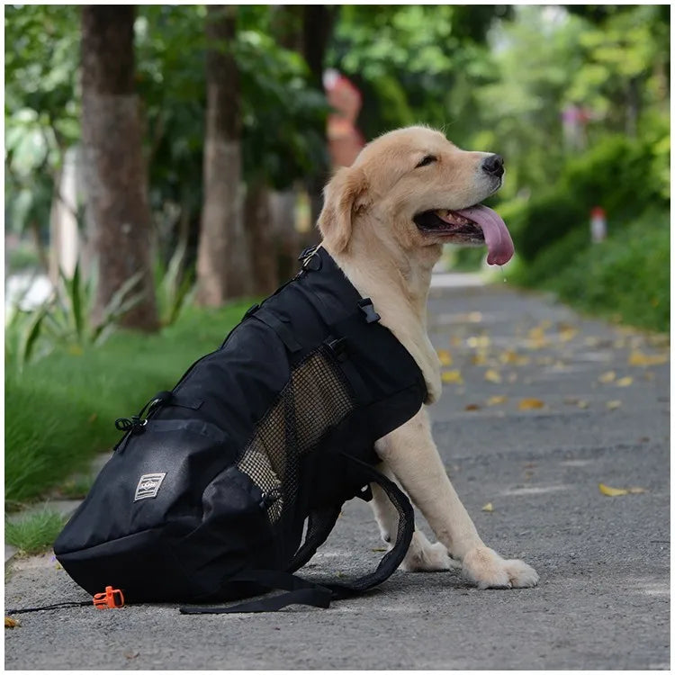 Sac de transport chien imperméable