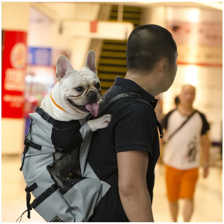 Sac de transport chien imperméable