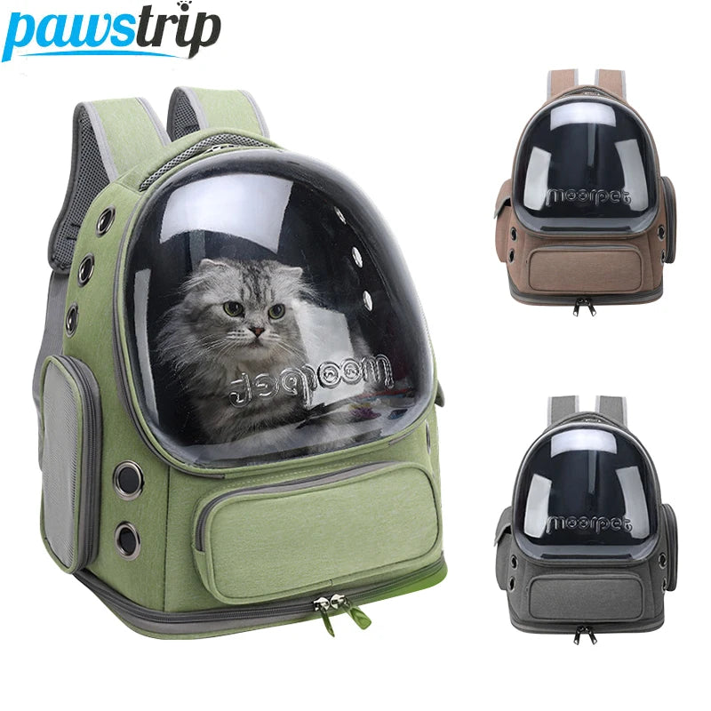 Sac de transport chat transparent