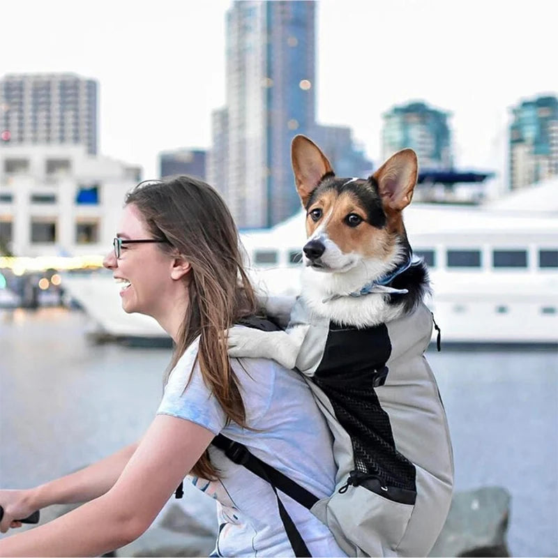 Sac de transport chien respirant